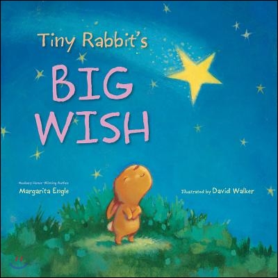 Tiny Rabbit&#39;s Big Wish
