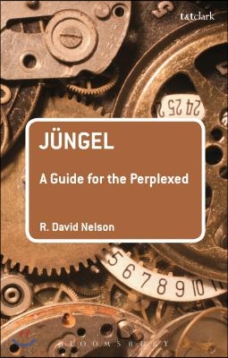 J&#252;ngel: A Guide for the Perplexed