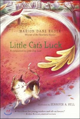 Little Cat&#39;s Luck