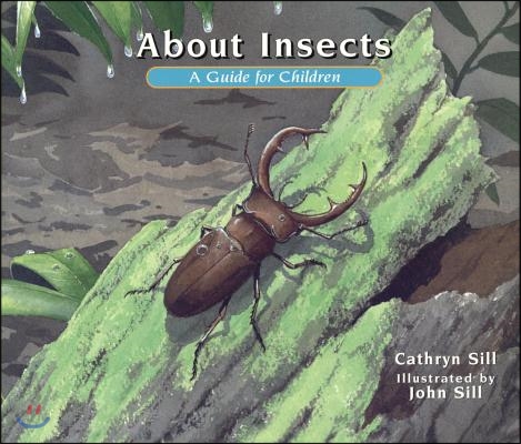 About Insects