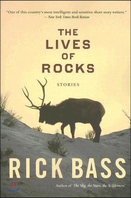 Lives of Rocks