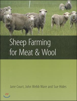 Sheep Farming for Meat and Wool