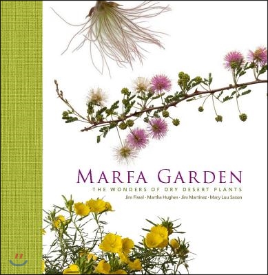 Marfa Garden: The Wonders of Dry Desert Plants