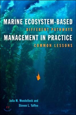 Marine Ecosystem-Based Management in Practice: Different Pathways, Common Lessons