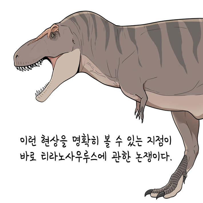 카드뉴스3