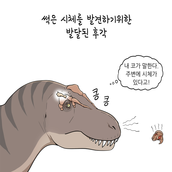 카드뉴스6