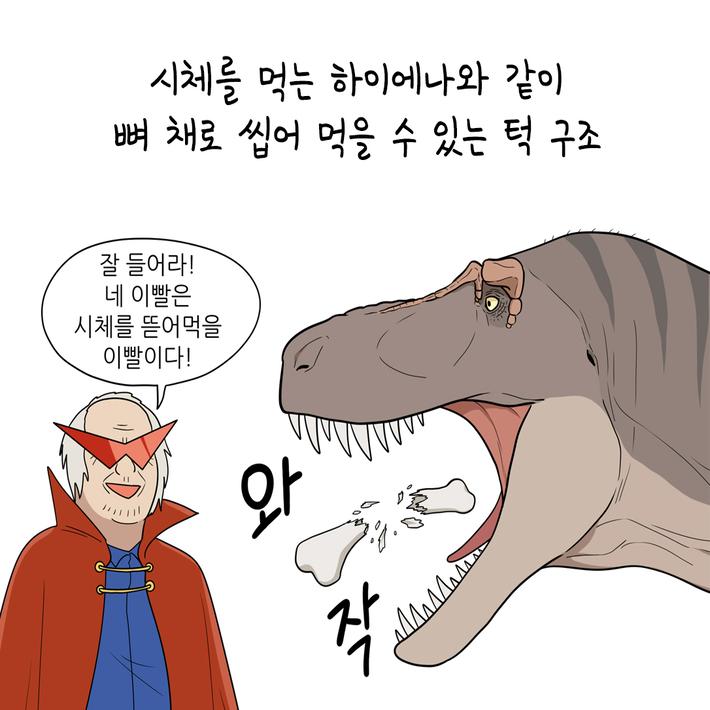 카드뉴스8