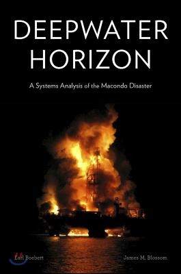 Deepwater Horizon: A Systems Analysis of the Macondo Disaster