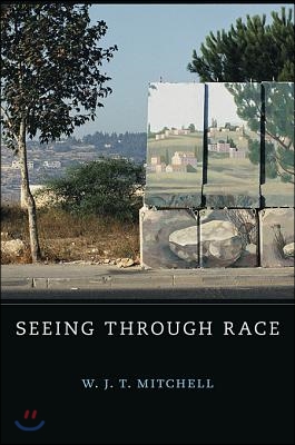 Seeing Through Race