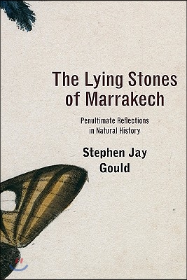 The Lying Stones of Marrakech: Penultimate Reflections in Natural History