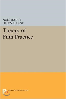 Theory of Film Practice