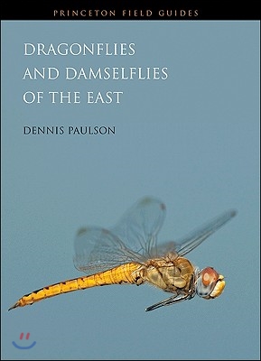 Dragonflies and Damselflies of the East