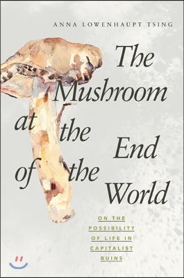 The Mushroom at the End of the World: On the Possibility of Life in Capitalist Ruins