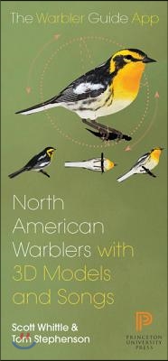 North American Warbler With 3D Models and Songs