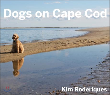 Dogs on Cape Cod