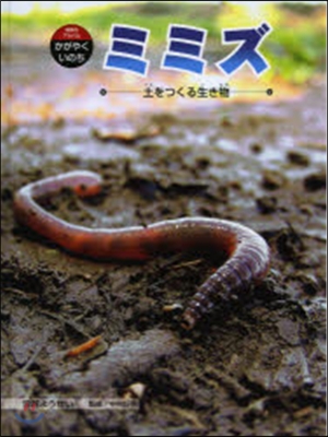 ミミズ 土をつくる生き物