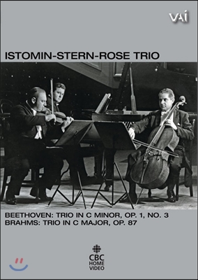 Isaac Stern / Eugene Istomin / Leonard Rose 베토벤 & 브람스: 피아노 삼중주 (Trios By Beethoven And Brahms) 이스토민-스턴-로즈 트리오