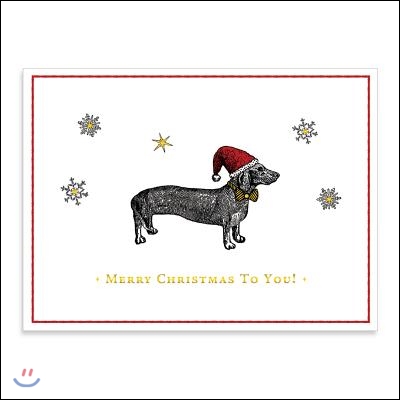 Alice Scott Christmas Dachshund Embellished Notecards