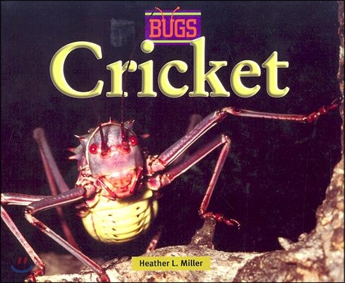 Cricket