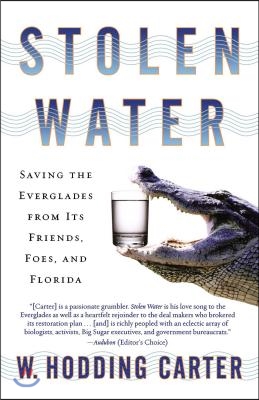 Stolen Water: Saving the Everglades from Its Friends, Foes, and Florida