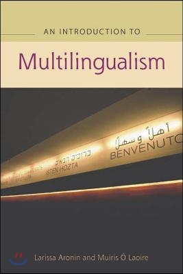 An Advanced Guide to Multilingualism