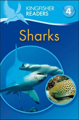 Kingfisher Readers L4: Sharks