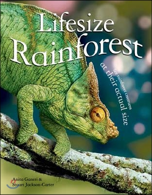 Lifesize Rainforest