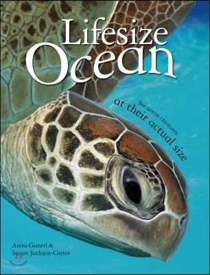 Lifesize: Ocean: See Ocean Creatures at Their Actual Size