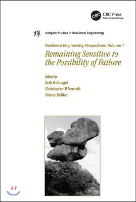 Resilience Engineering Perspectives, Volume 1