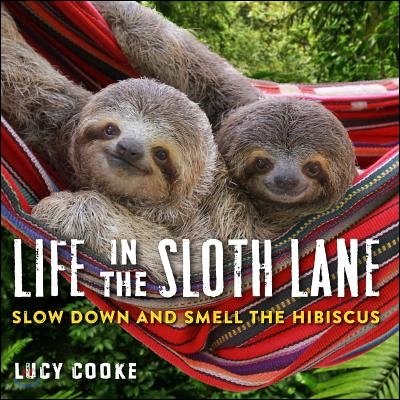 Life in the Sloth Lane: Slow Down and Smell the Hibiscus