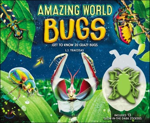 Amazing World: Bugs: Get to Know 20 Crazy Bugs