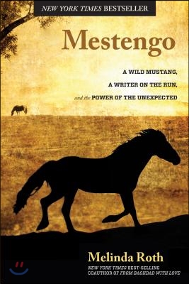 Mestengo: A Wild Mustang, a Writer on the Run, and the Power of the Unexpected