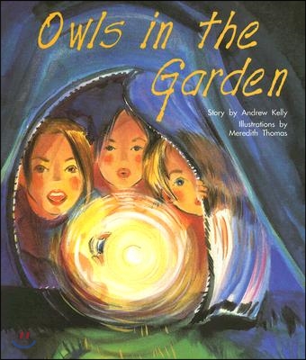 Owls in the Garden: Individual Student Edition Gold (Levels 21-22) (Paperback)