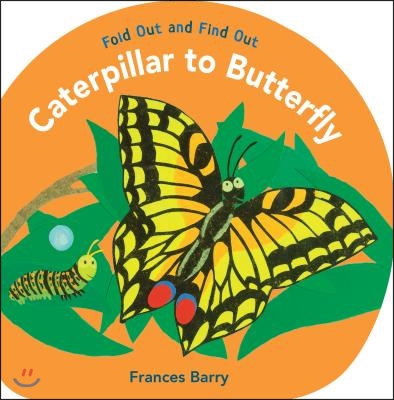 Caterpillar to Butterfly: Fold Out and Find Out