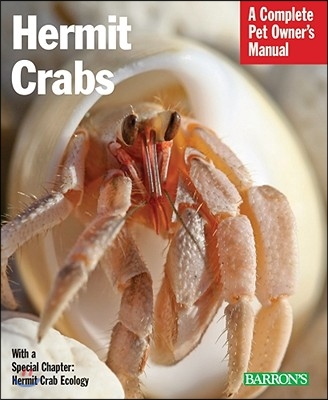 Hermit Crabs: Everything about Purchase, Care, and Nutrition