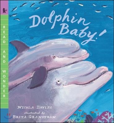 Dolphin Baby!: Read and Wonder