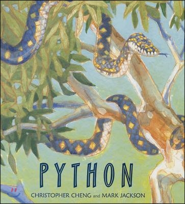 Python