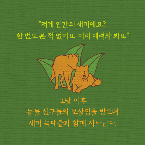 카드뉴스4