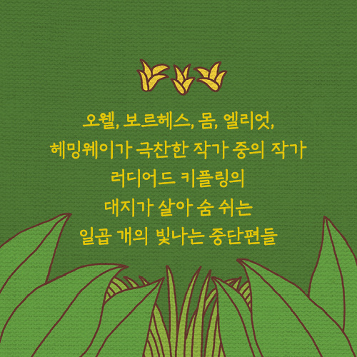 카드뉴스8