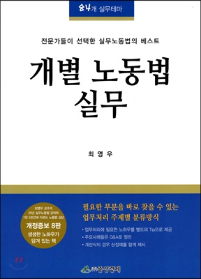 개별 노동법 실무