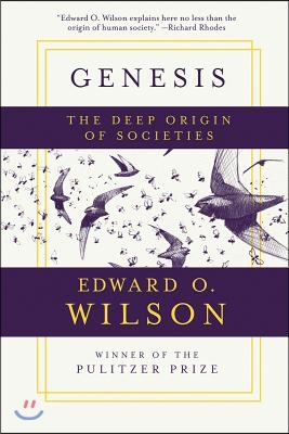 Genesis - The Deep Origin of Societies
