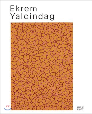 Ekrem Yalcindag: About Color, Nature, Ornaments, and Other Things