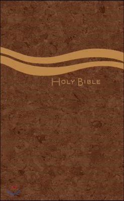 Holy Bible-CEB