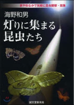 海野和男 燈りに集まる昆蟲たち