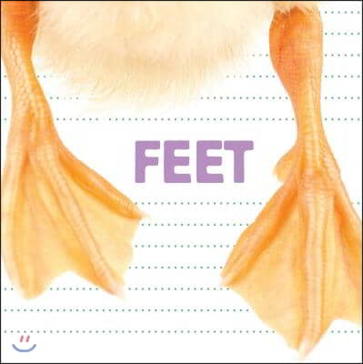 Feet