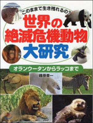 世界の絶滅危機動物大硏究 オランウ-タン