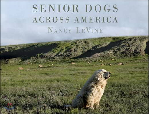 Senior Dogs Across America: Portraits of Man&#39;s Best Old Friend