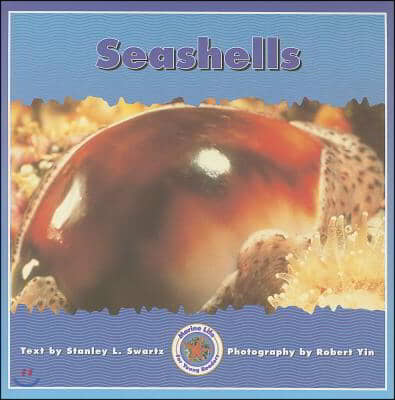 Seashells