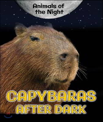 Capybaras After Dark