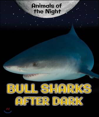 Bull Sharks After Dark